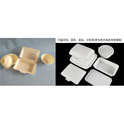 buy PLA Degradable Production Machine Polylactic Acid Plastic Sheet Extrusion Machine For Lunch Boxes Blister Sheet online manufacture