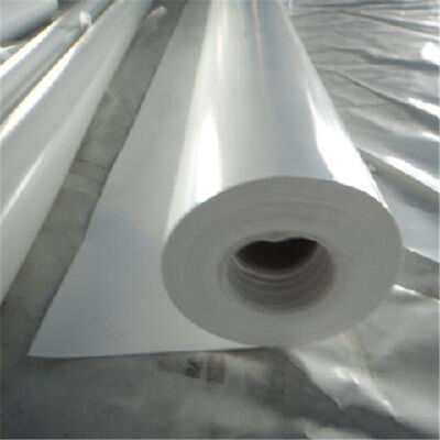 buy PVC PVDC Cling Cast Film Extrusion Line 250kg H Food Packaging online manufacture